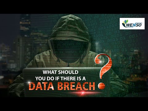 Data Breaches Under GDPR : What Should You Do If there Is A Data Breach? - Wenso GDPR FAQs