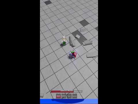 Playing Roblox!