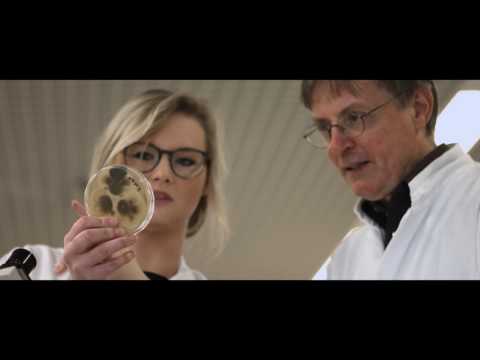 Smart Responsive Microbial Coating