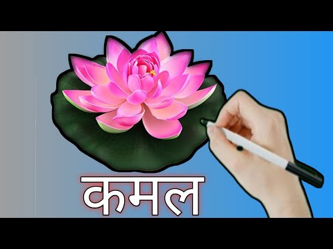 वर्णमाला क से ज्ञ तक वर्णमाला kids video hindi varnmala 