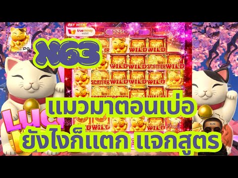 แนะนำสล็อต สล็อตน่าเล่นแตกง่าย  สล็อตทรูวอเลท  สล็อตpg  สล็อตฟรีเกม