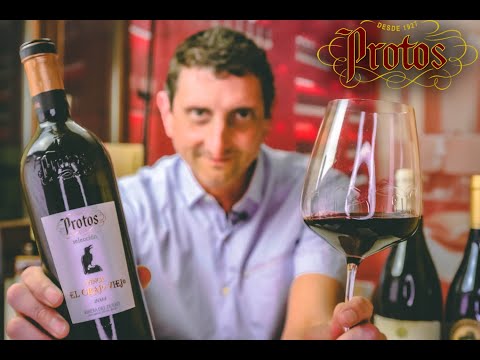 Protos Oustanding 'Single Vineyard' Ribera del Duero Wine - Finca El Grajo Viejo