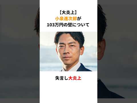 【大炎上】小泉進次郎が103万円の壁について失言し大炎上