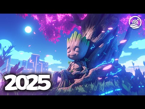 Music Mix 2025 🎧 Sit down and listen to this playlist with me 🎧 EDM Bass Boosted Music Mix #358