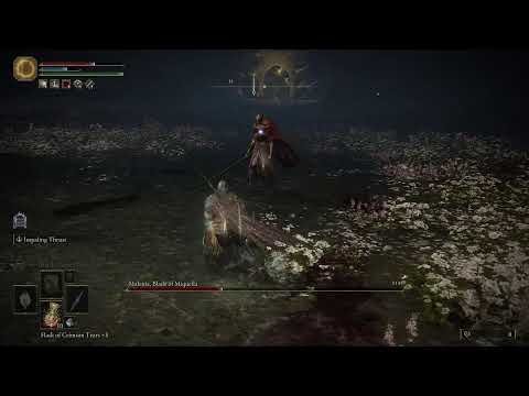 Elden Ring Convergence, but I Can't Level Up