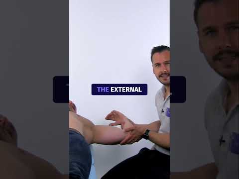 Biceps Load I Test | SLAP Lesion