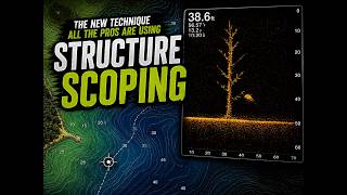 Structure Scoping | The Best New Live Scope Technique