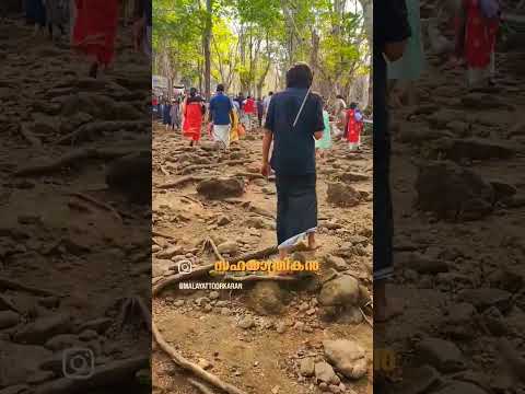 സഹയാത്രികൻ..... മലയാറ്റൂർ തീർഥാടന യാത്രയിലൂടെ.CoTraveller, a journey through Malayattoor Kurishumudy