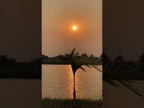 Beautiful nature view, sunset, water lakeview #shorts #water #lakeview
