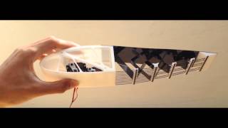 Final Year Project on a Fish-Like Morphing Wing - Rui Wu