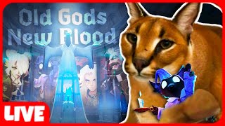 THE FLOPPA CUBE IS NOT AMUSED. !NA !HOWTONA !newchar