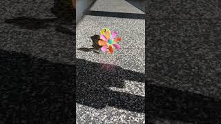 Rubber Band - Powered Car #stemprojects #car #rubberband #diy