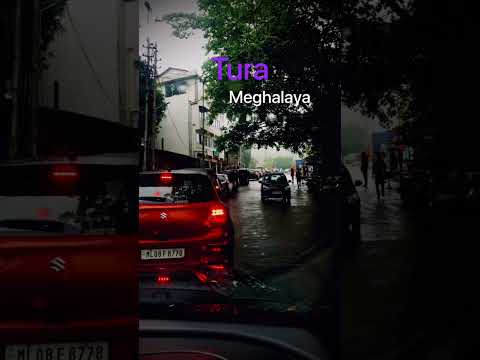 #automobile #travel #car #nature #rain #rainyday #driving #golf #love #roadtrip #short #video #viral