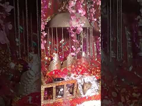 Mata vaishno devi ka darshan🙏🙏 #shorts #vaishnodevi #youtube