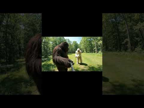 Let’s go golfing ! #bigfoot #bigfootvlog #yeti #ai #funny #monkey #comedy #lifeisbutadream #gorilla