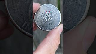Cicada Invasion 2024 - Silver Commemorative