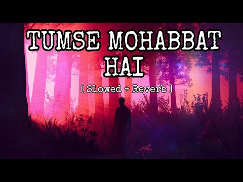 Tumse Mohabbat Hai [Slowed + Reverb] | JalRaj | Safar | Celestial Cypher