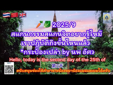 EP70🥕🥬 2025/9 สแกนกรรมสแกนจิตอยากรู้ไหม๊เราปฏิบัติถึงขั้นไหนแล้ว กระป๋องเปล่า byนพ อัศว#ธรรมะ#dharma