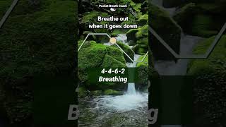 Vagus Nerve Breathing Meditation | 4-4-6-2 Rhythm to Calm Your Nervous System