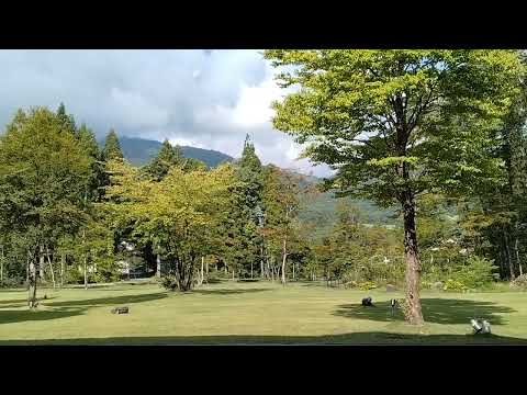 朝の白馬 と 自動芝刈り機 と…