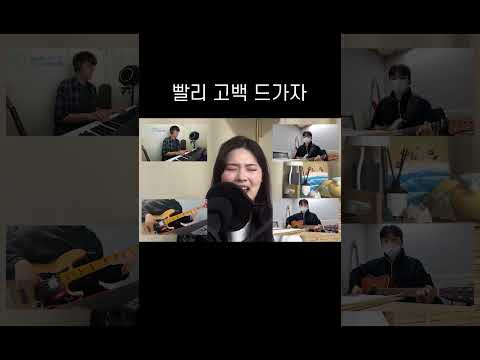 빨리 고백 드가자 #shorts  #노래 #달달 #밴드
