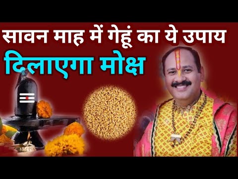 सावन माह में गेहूं का ये उपाय दिलाएगा मोक्ष || pradeep Mishra ji #upay