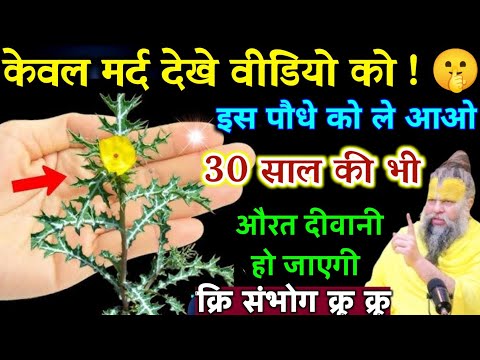 केवल मर्द देखें वीडियो को इस पौधे को ले आओ 30 साल की महिला तुरंत पट जाएगी | Best motivational video