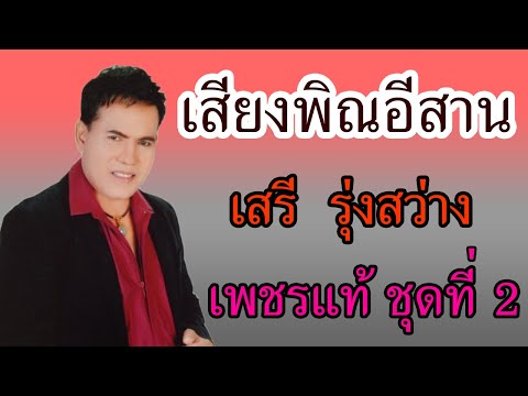 เสียงพิณอีสาน - เสรี  รุ่งสว่าง 【 AUDIO】