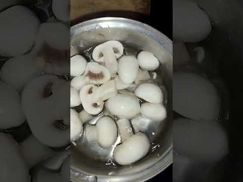 #mashroom #benefits #goodfood #goodforyourbody #bollywood #healtydiet #healthcare #youtubeshorts