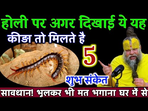 होली पर अगर दिखाई दे यह कीड़ा तो मिलते है ये शुभ संकेत 5 भूलकर मारना मत | Best motivational video