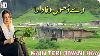 Ve dhol wafadaraa new pahari song 2026 pahari geet new pahari mahiya pahari song main mehndi da buta