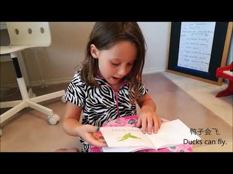 Picture book - Animals can fly