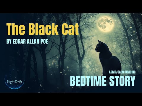💤  Bedtime Sleep Stories | The Black Cat by Edgar Allan Poe 🐱 | Classic Books Sleep Story for Adults