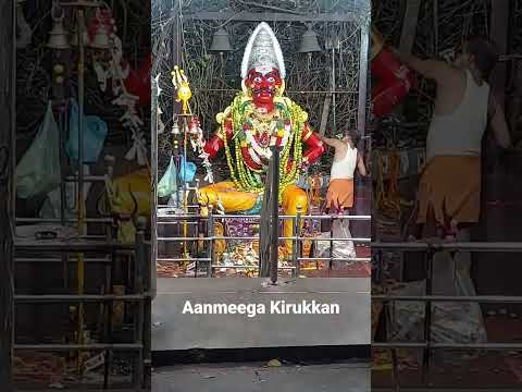 Powerfull Muniyappan kovil #shorts #shortsfeed #reels #viral #ytshorts