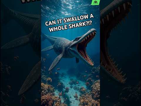 Kronosaurus VS Great White Shark 🦈⚔️ Prehistoric Predator Battle!