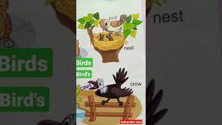 Homes of Animals Birds and insects Gk for kids 3