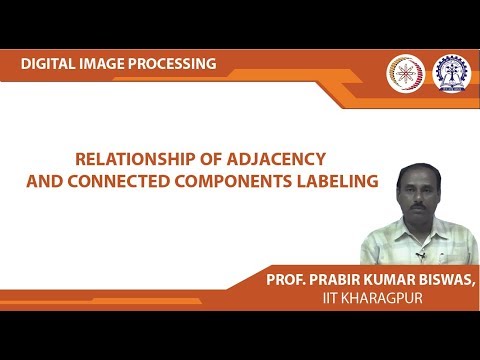 Relationship of Adjacency and Connected Components Labeling