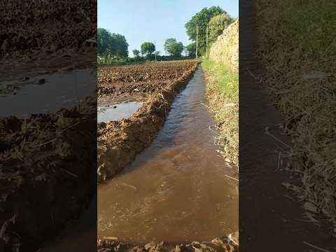 #Rajasthan #efarmers