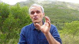 Portrait de Lionel | Le couple et la communication Transformative