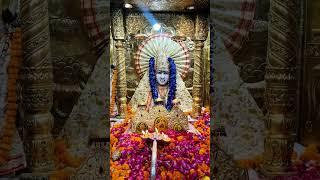 #mansadevi #live #divyadarbar 🙏🌹❤️😍