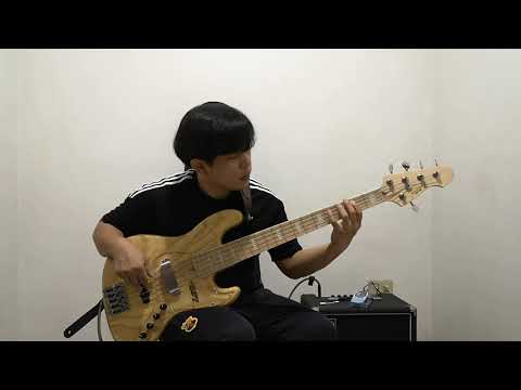 Manhattan by: Eric Johnson (Bass-Cover) baessist-z