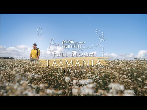 รักดอกออกเดิน Full Bloom Tasmania Ep. 3/6  l RakDok Walk