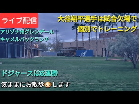 【ライブ配信】大谷翔平選手は試合欠場で個別でトレーニング⚾️ドジャースは6連勝⚾️気ままにお散歩🐶します💫mShinsuke Handyman がライブ配信中！