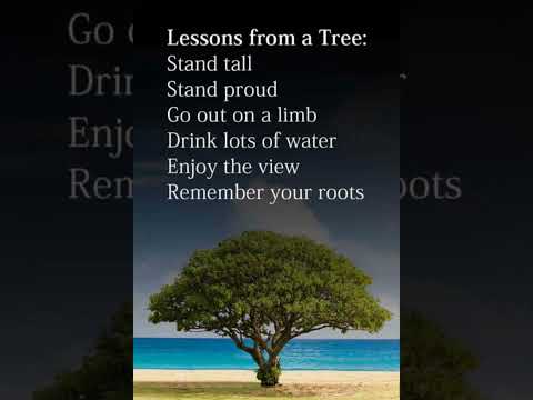 Lesson from a tree:@videocreator6474 #shorts #motivational #thoughts #inspirational #status