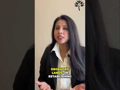 5 Nature Based Solutions to Combat Climate Change #sustainability #greenhousegasemissions #education