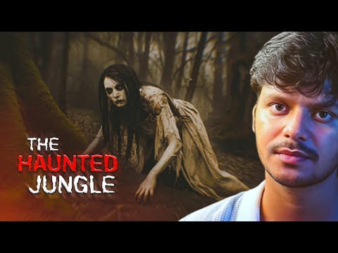 The Haunted Jungle