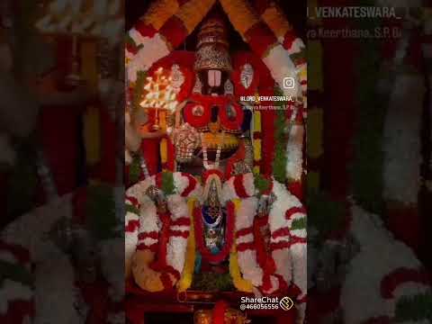 #govinda #tirumala #balaji #balajibhajan #omnamobhagwatevasudevay