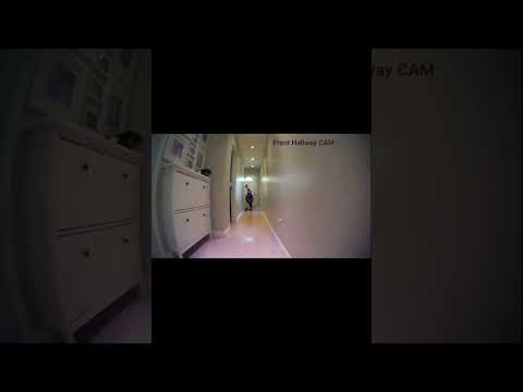 Look what I found on my Security Camera (If you didn't see it's my cat jumping to bite me)