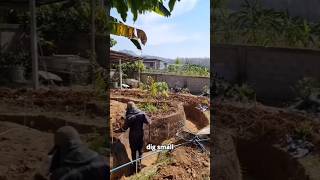 The $0 Thailand Garden Hack! 🤯 #shorts