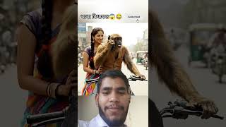 moneky vlog #shorts #monkeyvlog #funny #mo...😆🤣